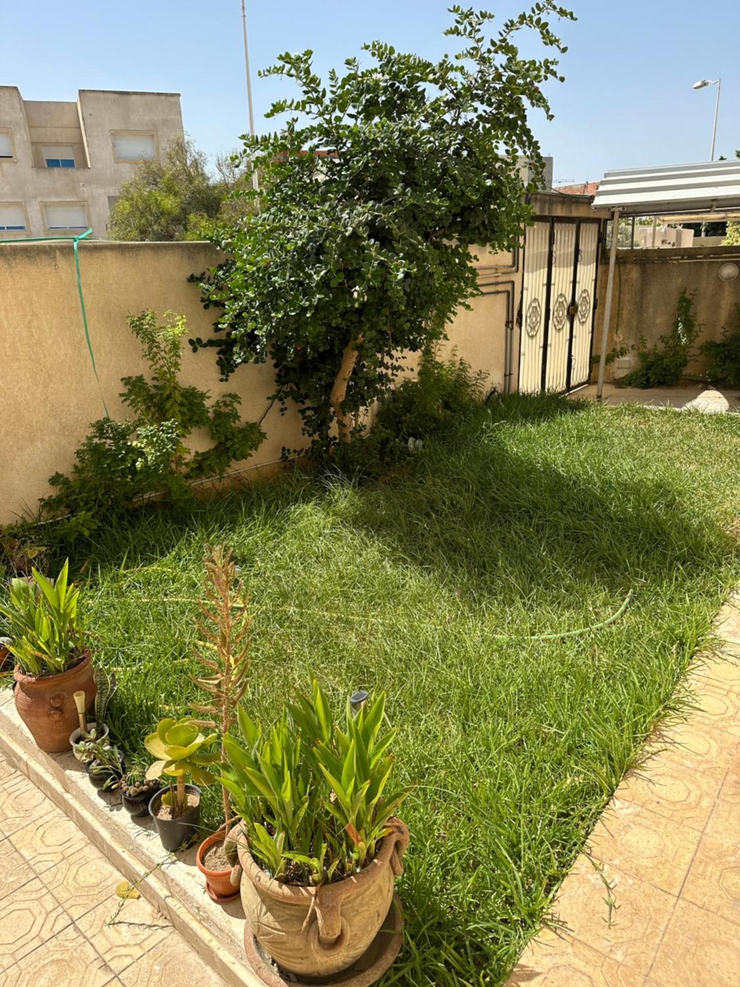 Sidi DaoudGarden House Jardin De Carthageアパートメント エクステリア 写真